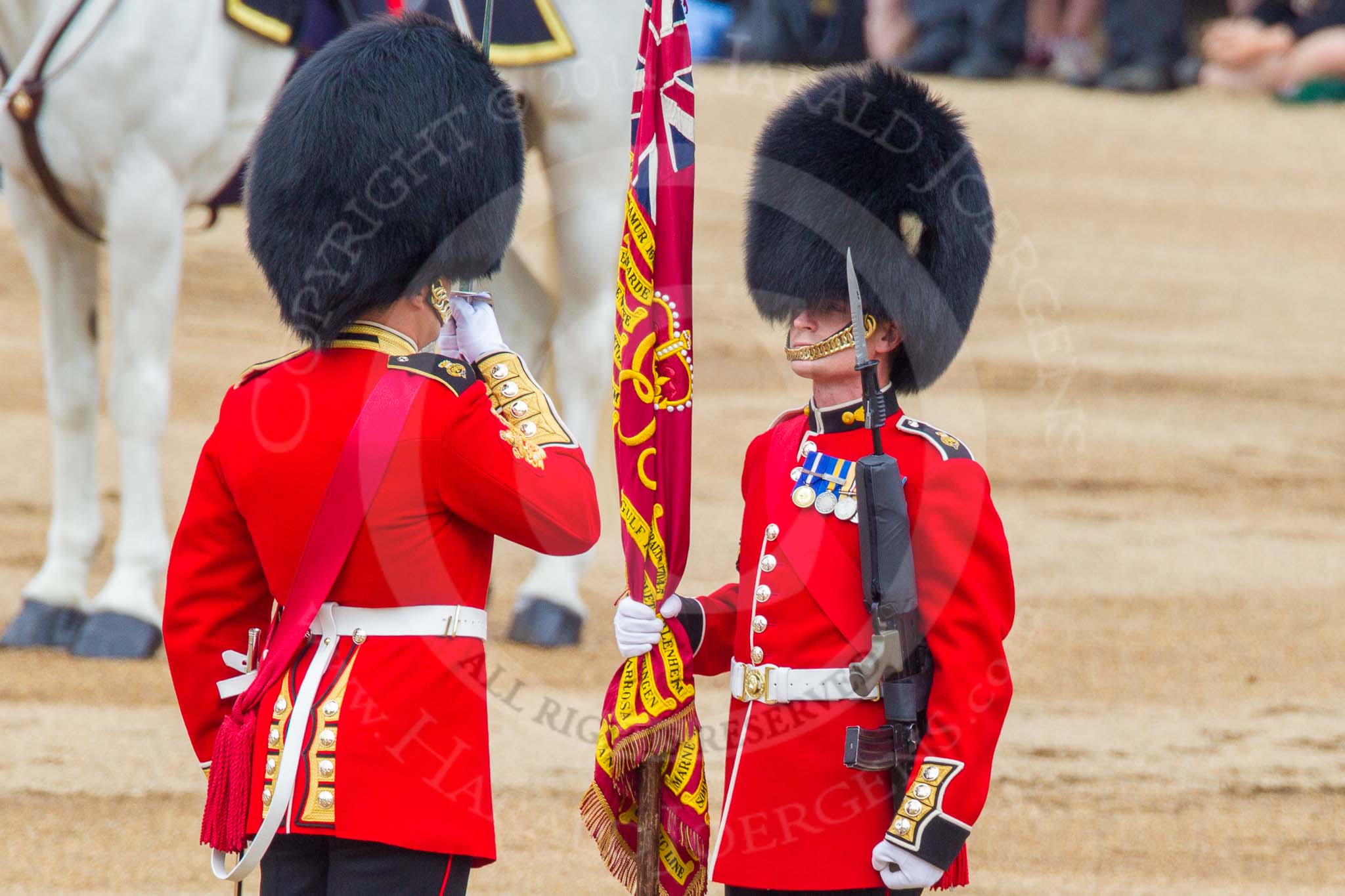 Trooping the Colour 2014.
Horse Guards Parade, Westminster,
London SW1A,

United Kingdom,
on 14 June 2014 at 11:21, image #525