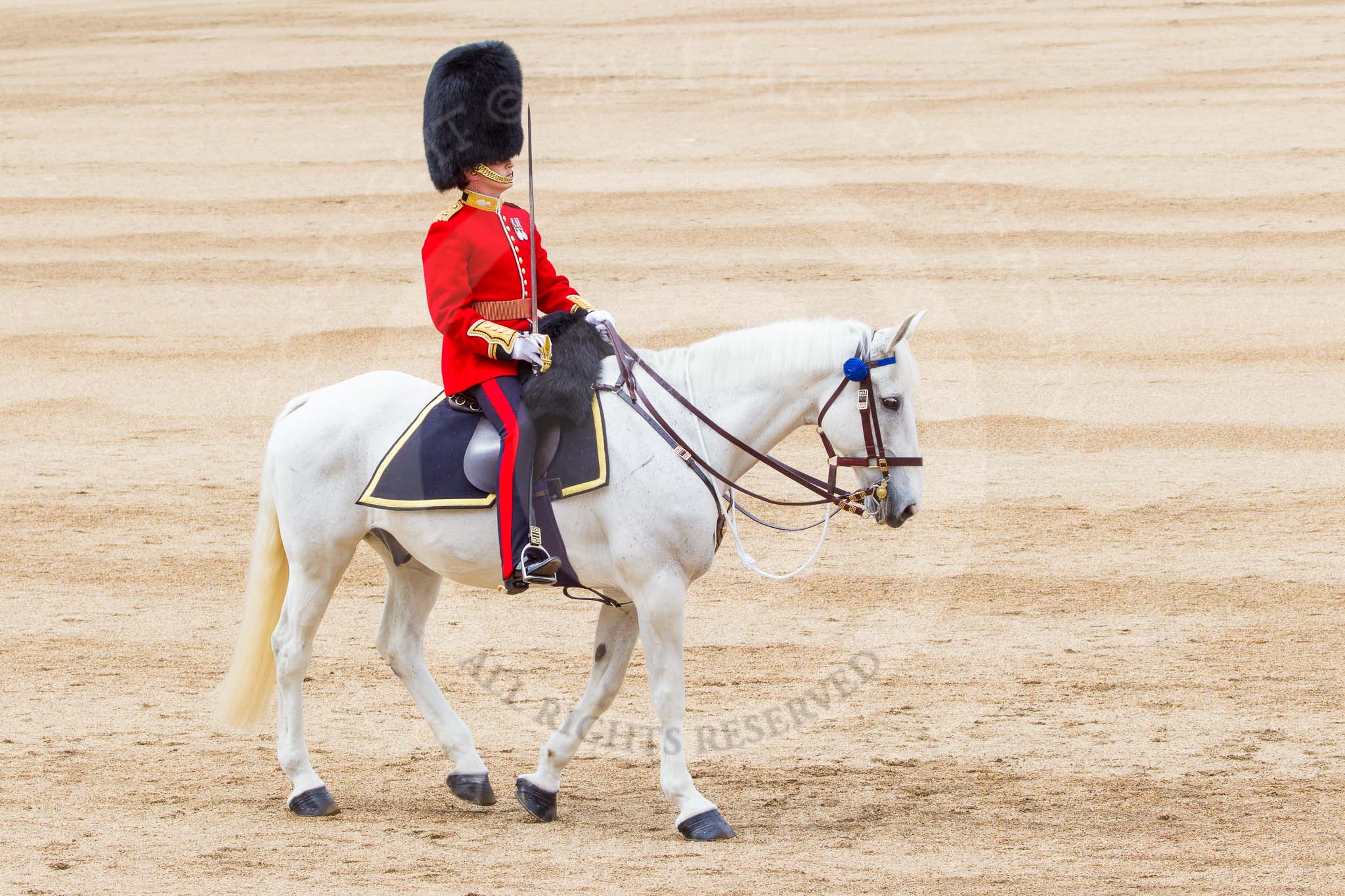 Trooping the Colour 2014.
Horse Guards Parade, Westminster,
London SW1A,

United Kingdom,
on 14 June 2014 at 11:39, image #653