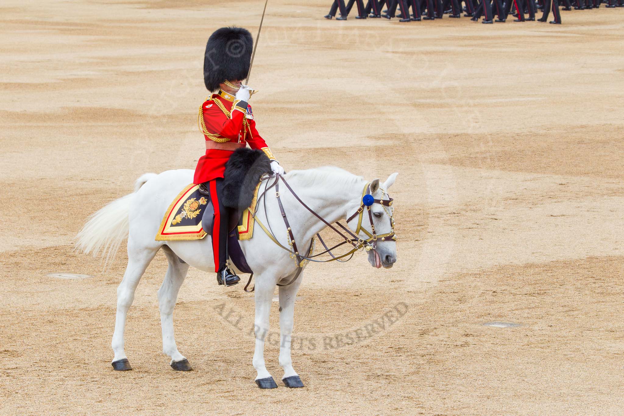 Trooping the Colour 2014.
Horse Guards Parade, Westminster,
London SW1A,

United Kingdom,
on 14 June 2014 at 11:40, image #662