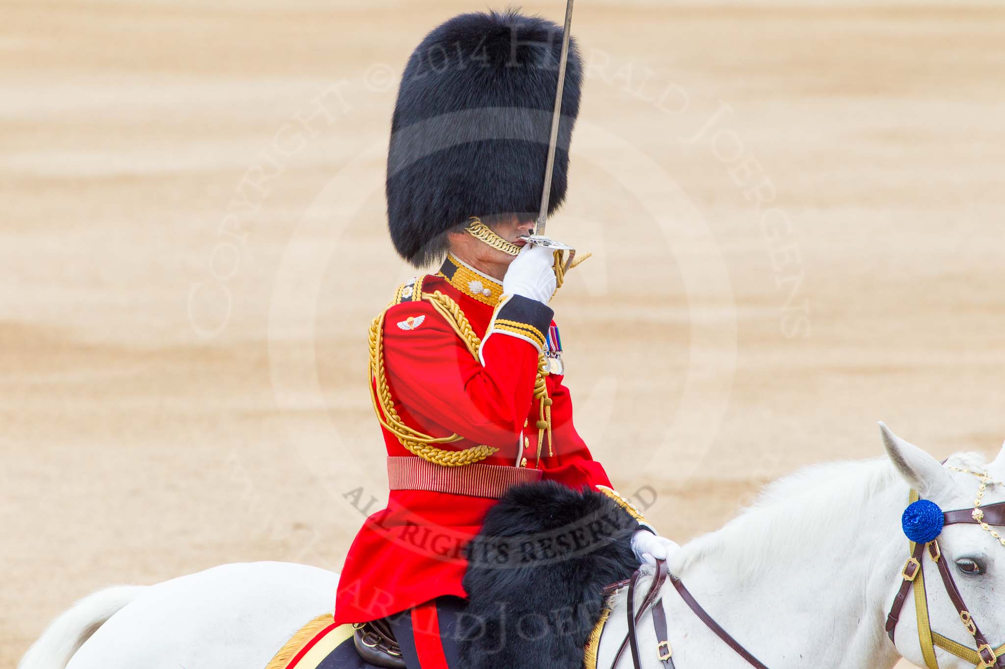 Trooping the Colour 2014.
Horse Guards Parade, Westminster,
London SW1A,

United Kingdom,
on 14 June 2014 at 11:41, image #663