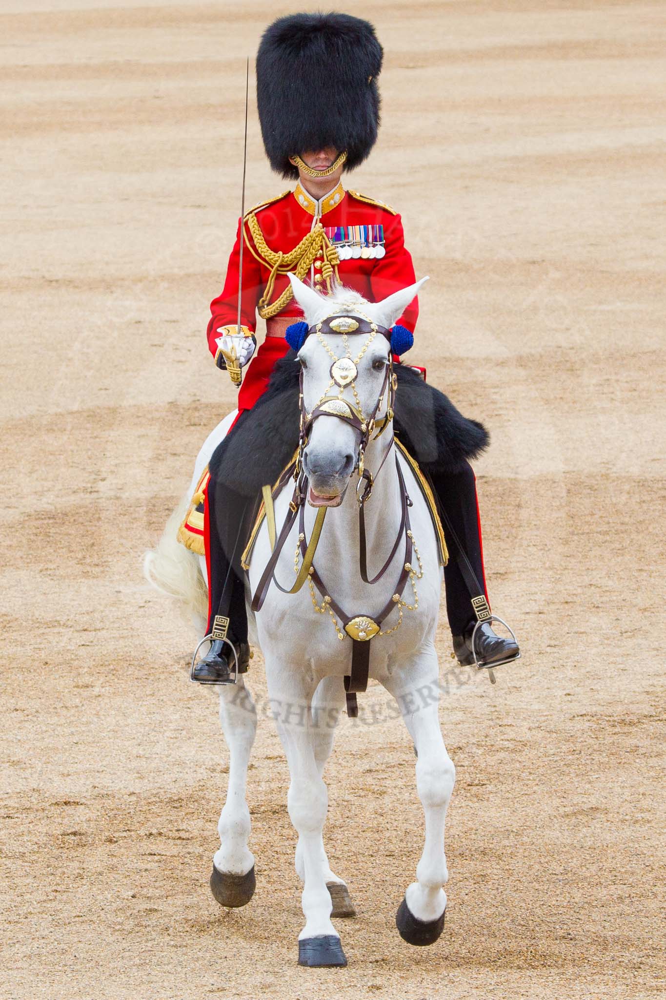 Trooping the Colour 2014.
Horse Guards Parade, Westminster,
London SW1A,

United Kingdom,
on 14 June 2014 at 11:49, image #700