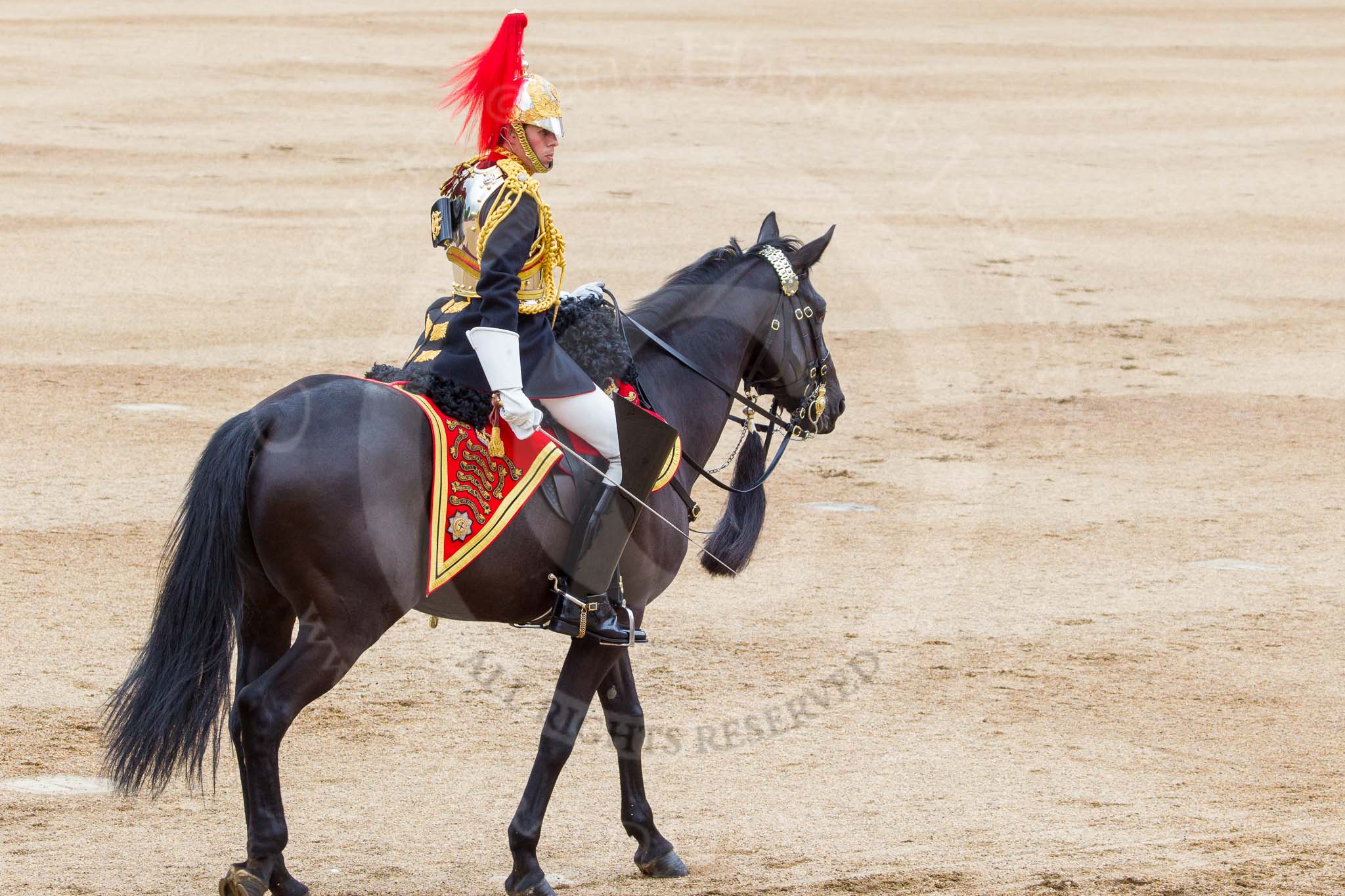 Trooping the Colour 2014.
Horse Guards Parade, Westminster,
London SW1A,

United Kingdom,
on 14 June 2014 at 11:57, image #776