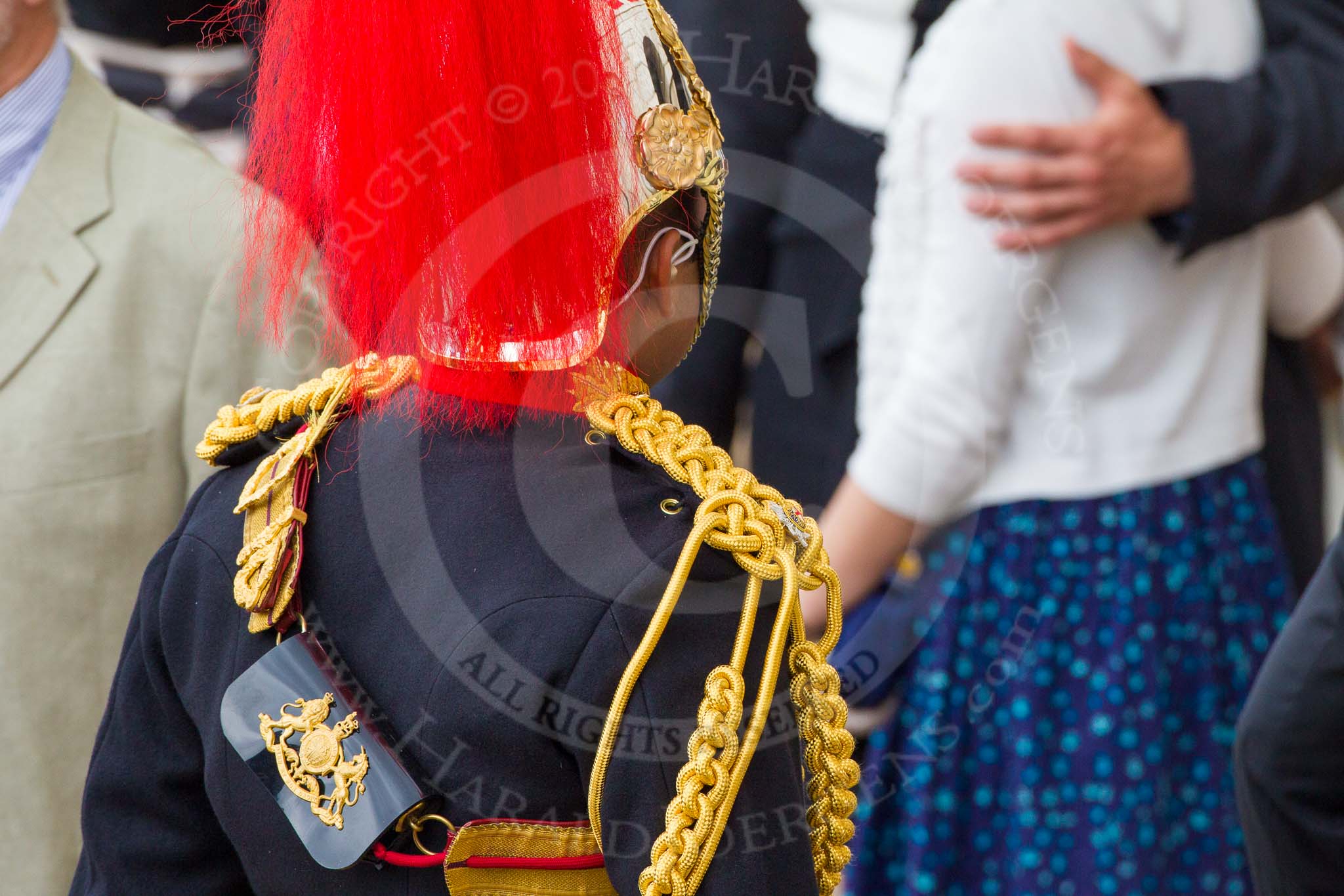 Trooping the Colour 2014.
Horse Guards Parade, Westminster,
London SW1A,

United Kingdom,
on 14 June 2014 at 12:32, image #963