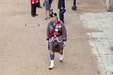 Trooping the Colour 2014.
Horse Guards Parade, Westminster,
London SW1A,

United Kingdom,
on 14 June 2014 at 09:31, image #21