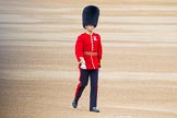 Trooping the Colour 2014.
Horse Guards Parade, Westminster,
London SW1A,

United Kingdom,
on 14 June 2014 at 09:38, image #28