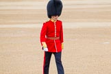 Trooping the Colour 2014.
Horse Guards Parade, Westminster,
London SW1A,

United Kingdom,
on 14 June 2014 at 09:38, image #29