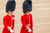 Trooping the Colour 2014.
Horse Guards Parade, Westminster,
London SW1A,

United Kingdom,
on 14 June 2014 at 09:44, image #49