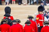 Trooping the Colour 2014.
Horse Guards Parade, Westminster,
London SW1A,

United Kingdom,
on 14 June 2014 at 09:53, image #57