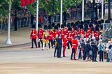 Trooping the Colour 2014.
Horse Guards Parade, Westminster,
London SW1A,

United Kingdom,
on 14 June 2014 at 10:10, image #70