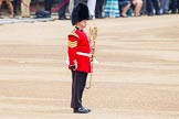 Trooping the Colour 2014.
Horse Guards Parade, Westminster,
London SW1A,

United Kingdom,
on 14 June 2014 at 10:12, image #74
