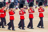 Trooping the Colour 2014.
Horse Guards Parade, Westminster,
London SW1A,

United Kingdom,
on 14 June 2014 at 10:14, image #86