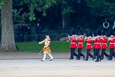 Trooping the Colour 2014.
Horse Guards Parade, Westminster,
London SW1A,

United Kingdom,
on 14 June 2014 at 10:14, image #87