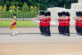 Trooping the Colour 2014.
Horse Guards Parade, Westminster,
London SW1A,

United Kingdom,
on 14 June 2014 at 10:15, image #90