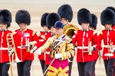 Trooping the Colour 2014.
Horse Guards Parade, Westminster,
London SW1A,

United Kingdom,
on 14 June 2014 at 10:25, image #137