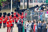 Trooping the Colour 2014.
Horse Guards Parade, Westminster,
London SW1A,

United Kingdom,
on 14 June 2014 at 10:26, image #144