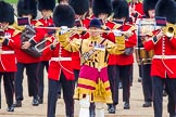 Trooping the Colour 2014.
Horse Guards Parade, Westminster,
London SW1A,

United Kingdom,
on 14 June 2014 at 10:30, image #181