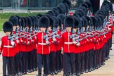 Trooping the Colour 2014.
Horse Guards Parade, Westminster,
London SW1A,

United Kingdom,
on 14 June 2014 at 10:30, image #184