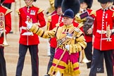 Trooping the Colour 2014.
Horse Guards Parade, Westminster,
London SW1A,

United Kingdom,
on 14 June 2014 at 10:31, image #187