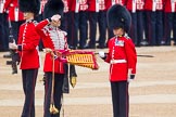 Trooping the Colour 2014.
Horse Guards Parade, Westminster,
London SW1A,

United Kingdom,
on 14 June 2014 at 10:32, image #195