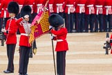 Trooping the Colour 2014.
Horse Guards Parade, Westminster,
London SW1A,

United Kingdom,
on 14 June 2014 at 10:32, image #198