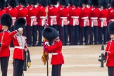 Trooping the Colour 2014.
Horse Guards Parade, Westminster,
London SW1A,

United Kingdom,
on 14 June 2014 at 10:32, image #199