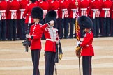 Trooping the Colour 2014.
Horse Guards Parade, Westminster,
London SW1A,

United Kingdom,
on 14 June 2014 at 10:32, image #200
