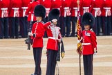 Trooping the Colour 2014.
Horse Guards Parade, Westminster,
London SW1A,

United Kingdom,
on 14 June 2014 at 10:32, image #201