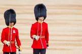 Trooping the Colour 2014.
Horse Guards Parade, Westminster,
London SW1A,

United Kingdom,
on 14 June 2014 at 10:32, image #202