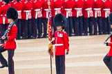 Trooping the Colour 2014.
Horse Guards Parade, Westminster,
London SW1A,

United Kingdom,
on 14 June 2014 at 10:33, image #203
