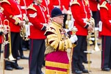 Trooping the Colour 2014.
Horse Guards Parade, Westminster,
London SW1A,

United Kingdom,
on 14 June 2014 at 10:33, image #206