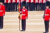 Trooping the Colour 2014.
Horse Guards Parade, Westminster,
London SW1A,

United Kingdom,
on 14 June 2014 at 10:33, image #210