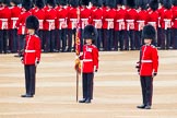 Trooping the Colour 2014.
Horse Guards Parade, Westminster,
London SW1A,

United Kingdom,
on 14 June 2014 at 10:34, image #211
