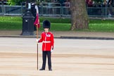 Trooping the Colour 2014.
Horse Guards Parade, Westminster,
London SW1A,

United Kingdom,
on 14 June 2014 at 10:34, image #212