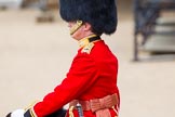 Trooping the Colour 2014.
Horse Guards Parade, Westminster,
London SW1A,

United Kingdom,
on 14 June 2014 at 10:35, image #217