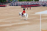 Trooping the Colour 2014.
Horse Guards Parade, Westminster,
London SW1A,

United Kingdom,
on 14 June 2014 at 10:35, image #219