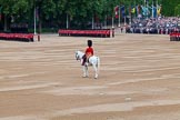 Trooping the Colour 2014.
Horse Guards Parade, Westminster,
London SW1A,

United Kingdom,
on 14 June 2014 at 10:35, image #221