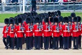 Trooping the Colour 2014.
Horse Guards Parade, Westminster,
London SW1A,

United Kingdom,
on 14 June 2014 at 10:36, image #222