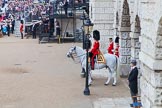 Trooping the Colour 2014.
Horse Guards Parade, Westminster,
London SW1A,

United Kingdom,
on 14 June 2014 at 10:40, image #226