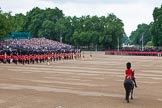 Trooping the Colour 2014.
Horse Guards Parade, Westminster,
London SW1A,

United Kingdom,
on 14 June 2014 at 10:40, image #229