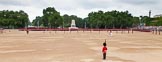 Trooping the Colour 2014.
Horse Guards Parade, Westminster,
London SW1A,

United Kingdom,
on 14 June 2014 at 10:41, image #232