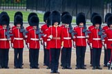 Trooping the Colour 2014.
Horse Guards Parade, Westminster,
London SW1A,

United Kingdom,
on 14 June 2014 at 10:42, image #233