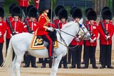 Trooping the Colour 2014.
Horse Guards Parade, Westminster,
London SW1A,

United Kingdom,
on 14 June 2014 at 10:46, image #245