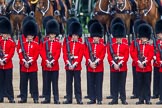 Trooping the Colour 2014.
Horse Guards Parade, Westminster,
London SW1A,

United Kingdom,
on 14 June 2014 at 10:47, image #247