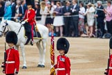 Trooping the Colour 2014.
Horse Guards Parade, Westminster,
London SW1A,

United Kingdom,
on 14 June 2014 at 10:47, image #248