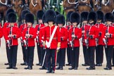 Trooping the Colour 2014.
Horse Guards Parade, Westminster,
London SW1A,

United Kingdom,
on 14 June 2014 at 10:51, image #296