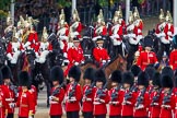 Trooping the Colour 2014.
Horse Guards Parade, Westminster,
London SW1A,

United Kingdom,
on 14 June 2014 at 10:58, image #352
