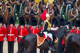 Trooping the Colour 2014.
Horse Guards Parade, Westminster,
London SW1A,

United Kingdom,
on 14 June 2014 at 11:04, image #407