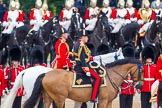 Trooping the Colour 2014.
Horse Guards Parade, Westminster,
London SW1A,

United Kingdom,
on 14 June 2014 at 11:04, image #410