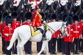 Trooping the Colour 2014.
Horse Guards Parade, Westminster,
London SW1A,

United Kingdom,
on 14 June 2014 at 11:04, image #411