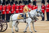 Trooping the Colour 2014.
Horse Guards Parade, Westminster,
London SW1A,

United Kingdom,
on 14 June 2014 at 11:04, image #412